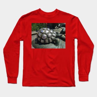 Many hands caressed this turtle Long Sleeve T-Shirt